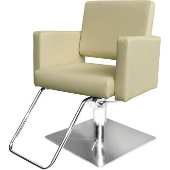 Professional Styling Hydraulic Salon Chair